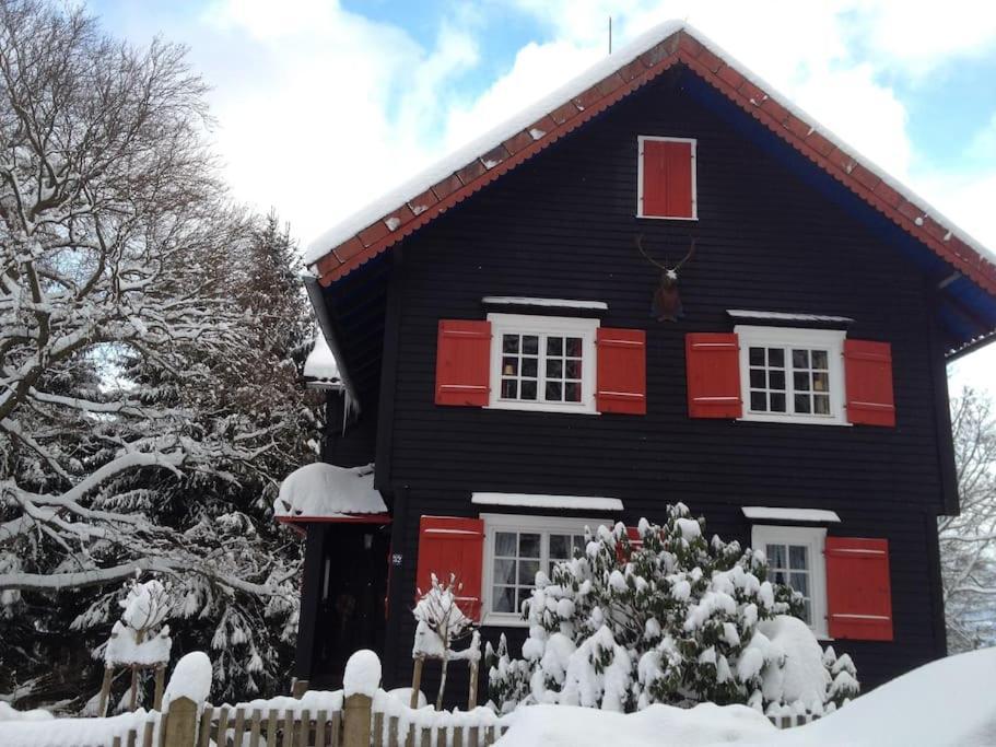 Villa Herzog - Ferienhaus Fuer 6 Personen In Braunlage, Harz Exterior foto
